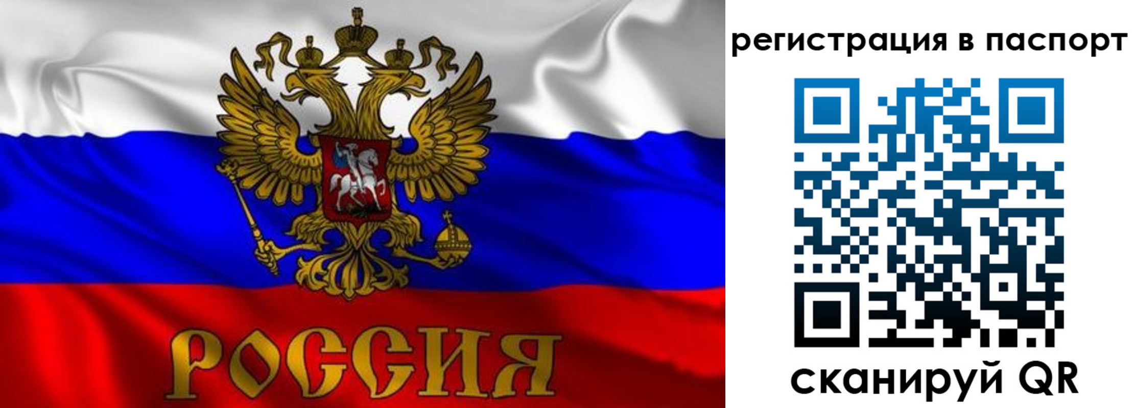 найти адрес прописки в Можге